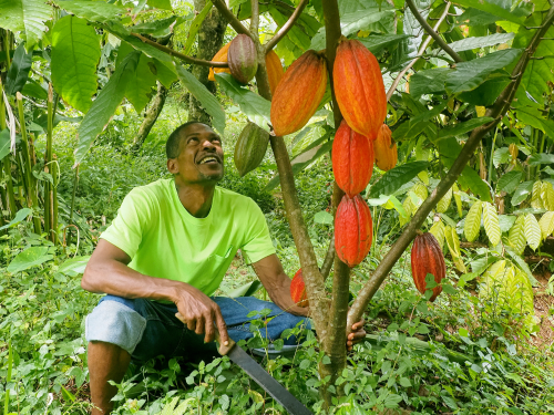 Natural Farming